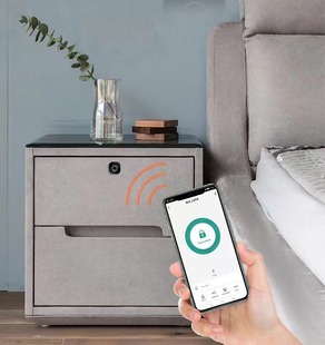 Tuya Bluetooth fingerprint drawer lock shoe cabinet file cabinet letter box lock electronic cabinet lock fingerprint lock smart electronic lock
