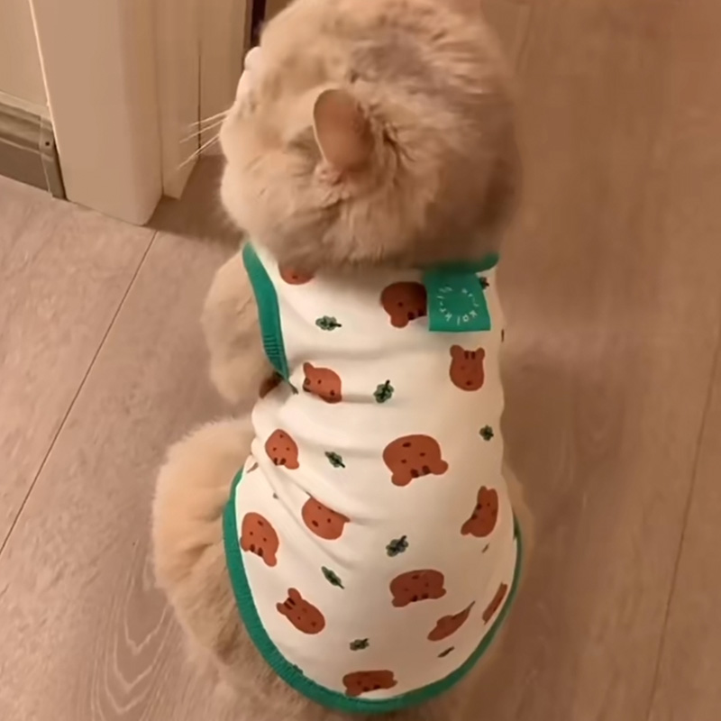 Cat Clothes Anti-lint Summer Thin British and American Short Blue Cat Puppet Cat Small Dog Teddy Dog Summer Vest