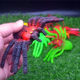 Environmentally friendly non-toxic large simulation trick soft glue spider toy cognitive children's insects frightening poisonous spider