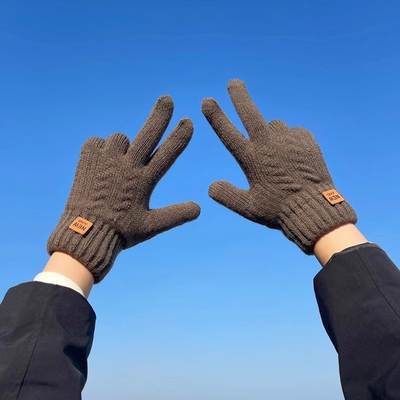 Gloves cycling double layer fleece-lined thickened touch screen men and women windproof warm solid color knitted fashion Korean NEW autumn and winter