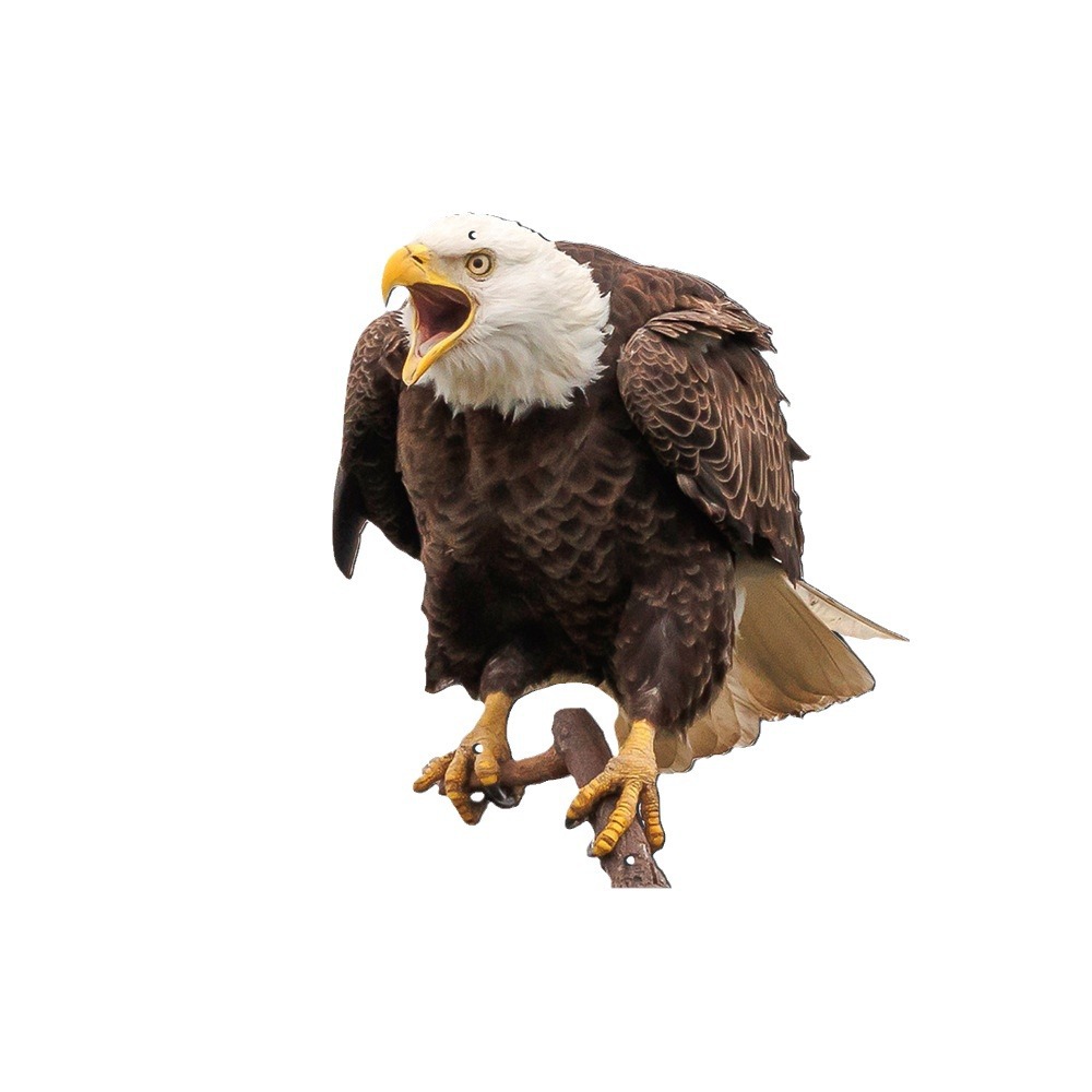 2023 new cross-border hanging decoration owl American white eagle home garden decoration hanging decoration