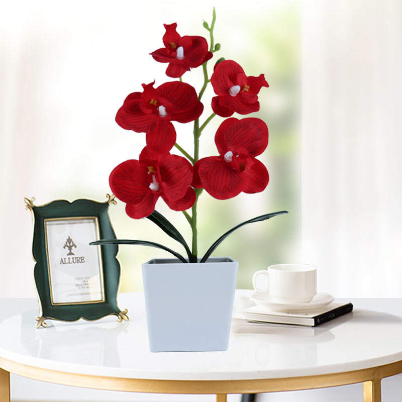 Simulation Phalaenopsis Simulation Potted Plant Nordic Floriculture Decoration Fake Flower Potted Plant Green Plant Small Bonsai Simulation Plant