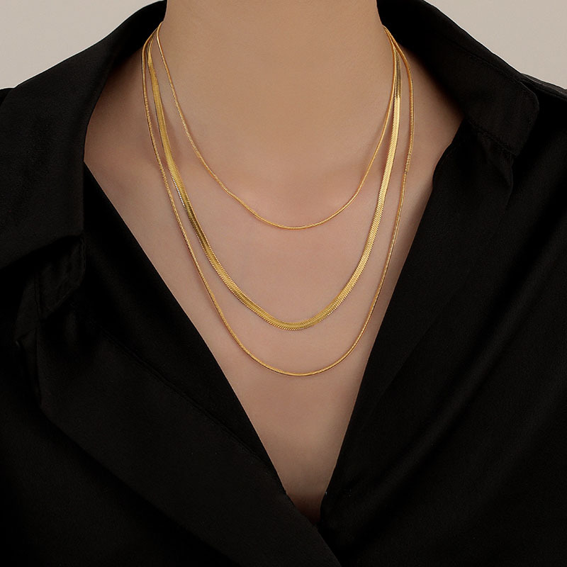 Light Luxury Simple Flat Chain Titanium Steel Necklace Women's All-match Collarbone Chain New Fashionable Fashion Blade Chain Elegant Famous Warm Jewelry