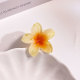 4CM Bauhinia (yellow)