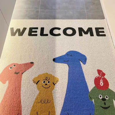 INS Style Cartoon Entrance Mat pvc Floor Mat Silk Ring Hallway Wear-resistant Dirty-resistant Floor Mat Entrance Door Easy-care Mat