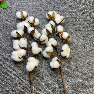 Simulation of 10 cotton single simulation immortal cotton dried flower fake flower cotton head living room home decoration cross-border