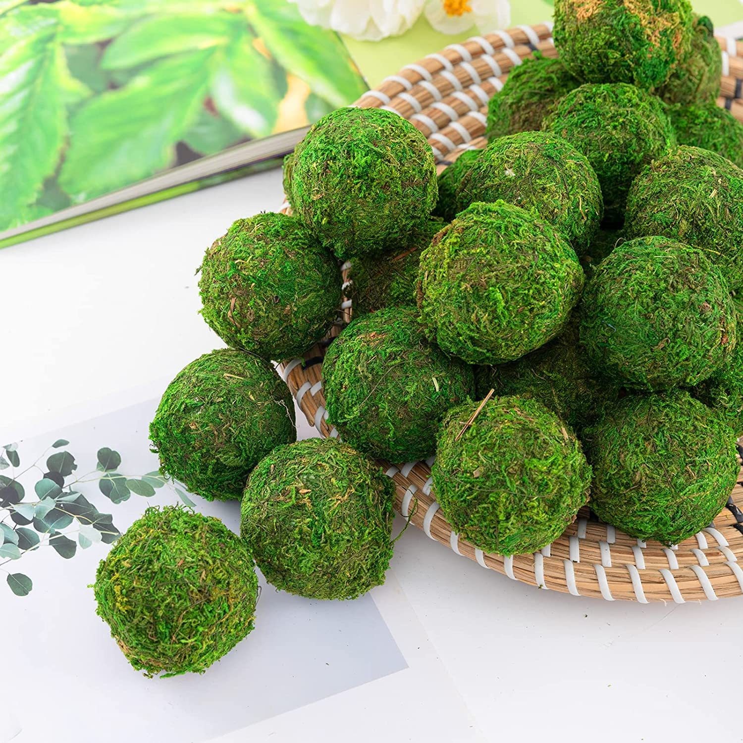 Cross-border for green moss ball moss ball gardening Moss flowerpot potted grass ball dried flower ball dried flower hanging ornaments