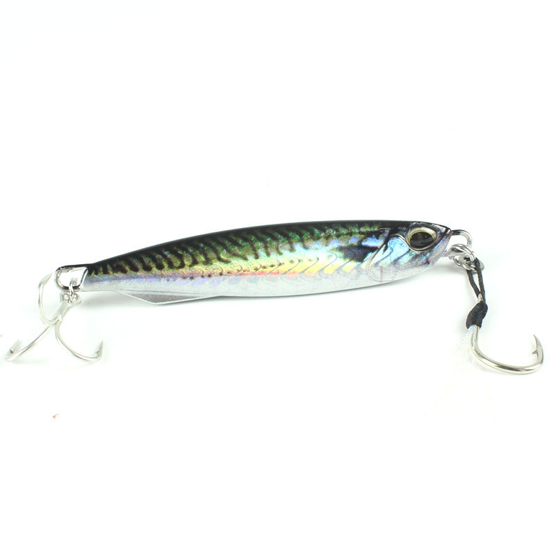20-30-40-60g New 3D Bionic Coating Printing Lead Fish Road Iron Plate Fake Bait