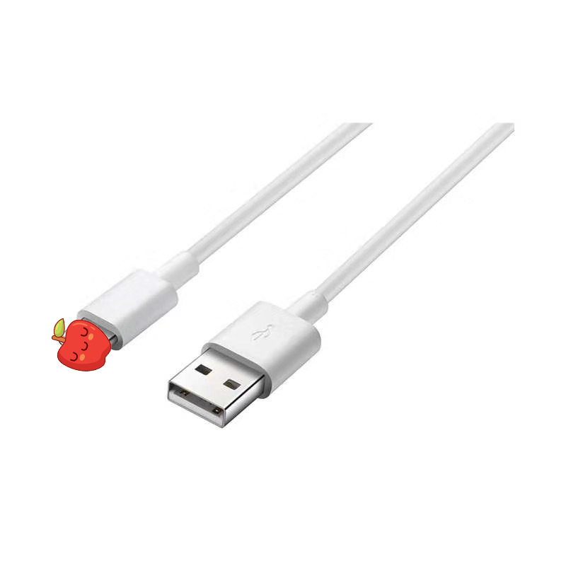 Apple fast charging interface