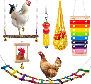 2022 foreign trade 6-piece set parrot pet chicken chicken pet duck pet goose mirror foraging swing fruit fork net pocket