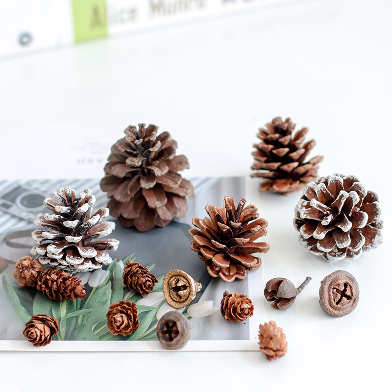 Meilier diy fire-free cinnamon aromatherapy eternal flower material natural plant dried flower fruit aromatherapy candle flower material