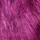 31# purple