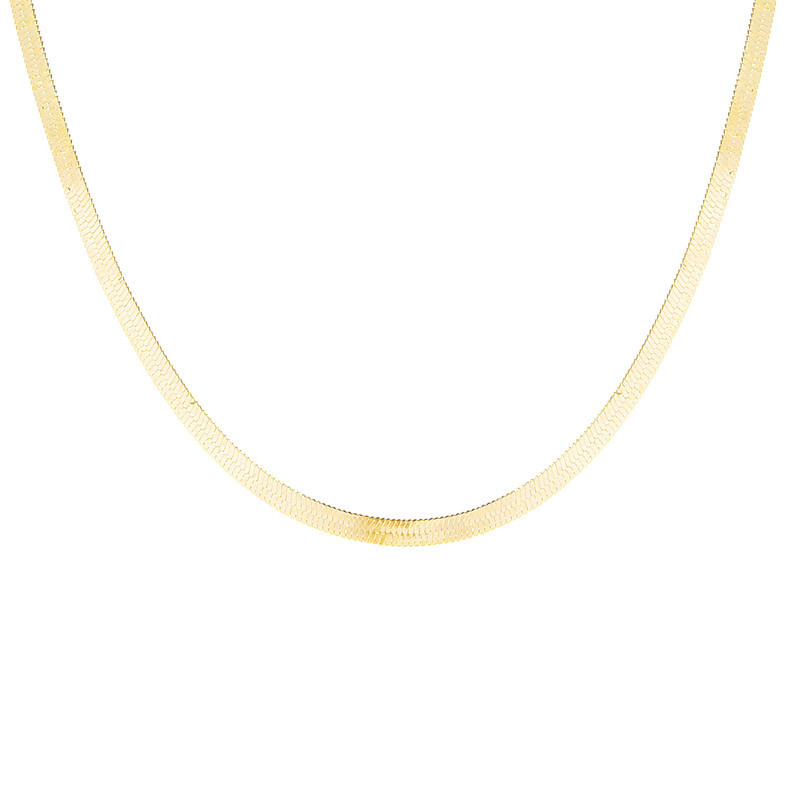 European and American cross-border jewelry fashion short blade chain wholesale Women's simple metal flat chain snake bone chain necklace