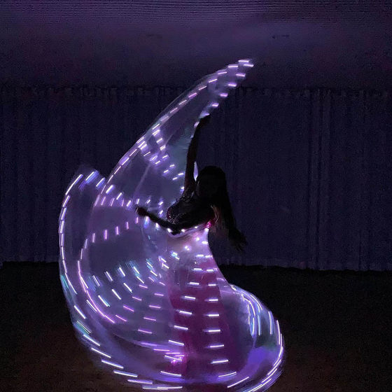 Factory Direct New White led luminous wings dance props Golden Wings transparent wholesale Oriental dance Egypt