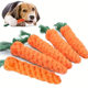 Mint Fish Toy Rubber Dry Chicken and Carrot Pet Toy Entertainment Chewy