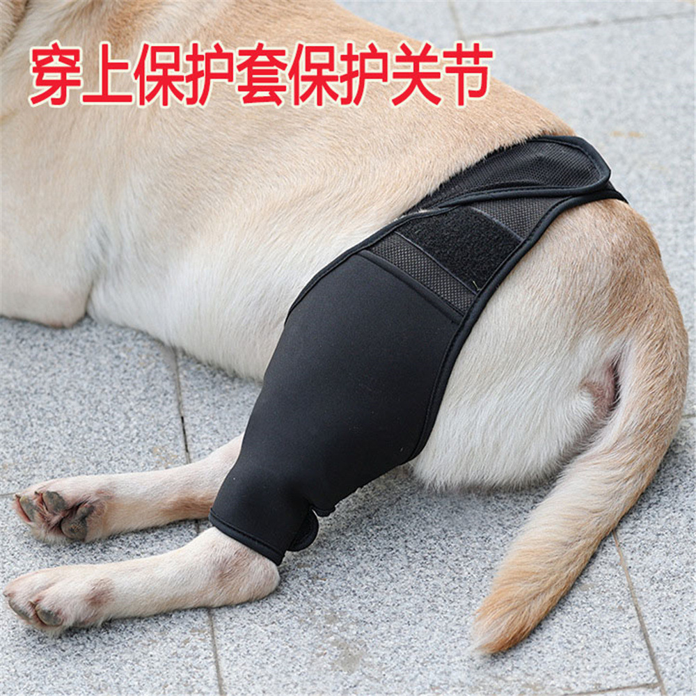 Dog thigh protector joint knee protector leg protector weakness injury protection postoperative rehabilitation bracket fixed leg strap