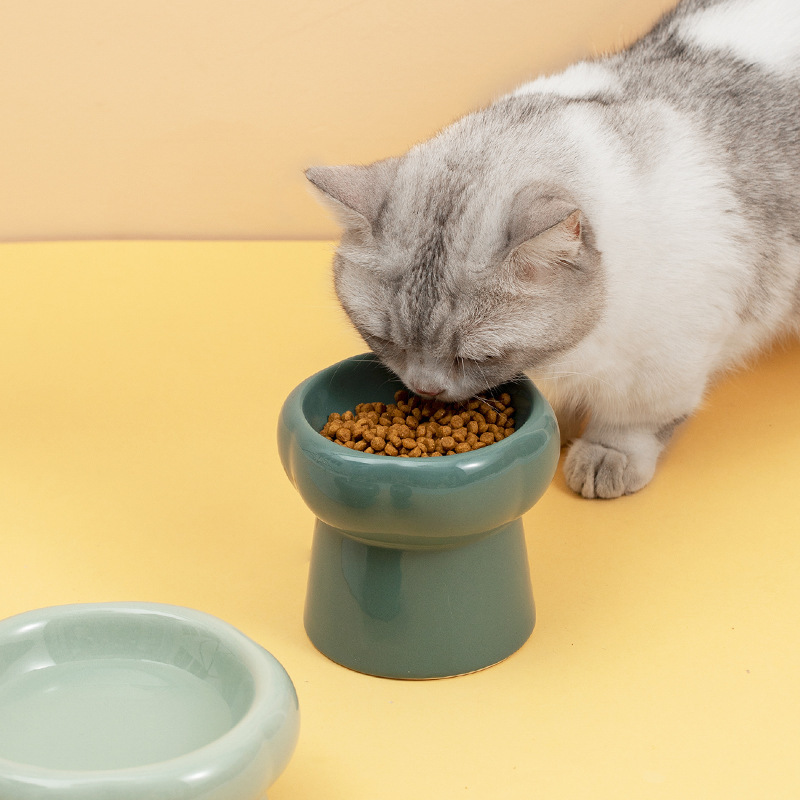 陶磁器の猫の碗の高い足は頚椎の猫の食糧の碗の猫の犬の猫のたらいを保護します。|undefined