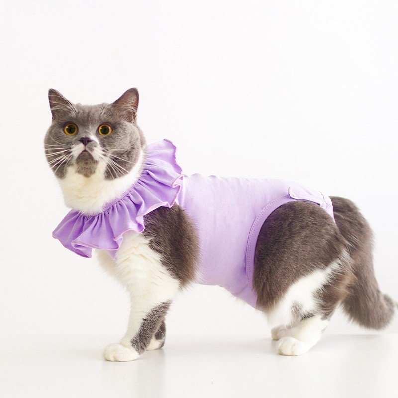 Meoof 薄型通気性ペット弾性手術回復スーツ猫のための抗なめる生理服スプレー後の|undefined