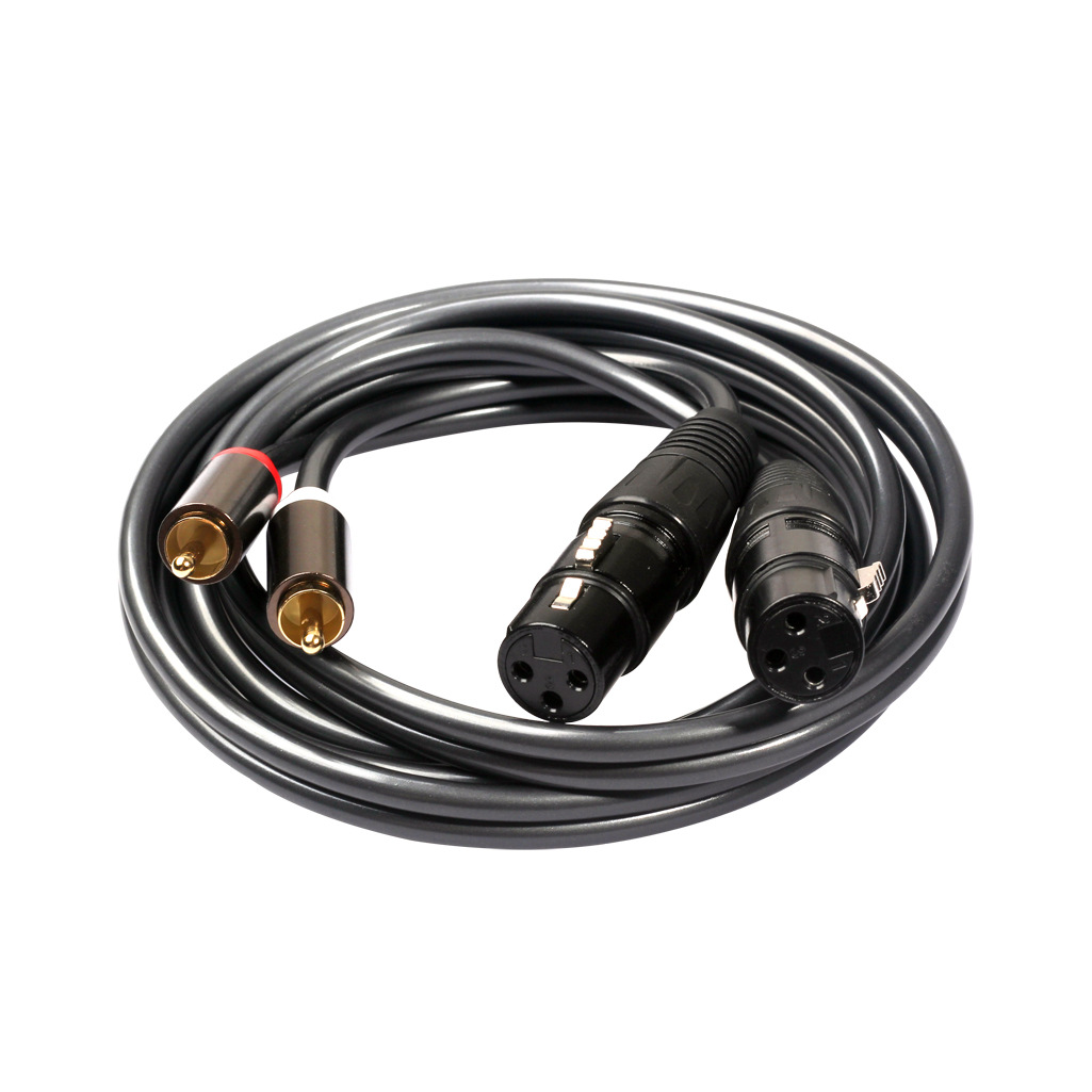 Hot selling Amazon copper wire gold-plated head 2RCA revolution double cannon XLR female mixer power amplifier audio cable 1 meter 5