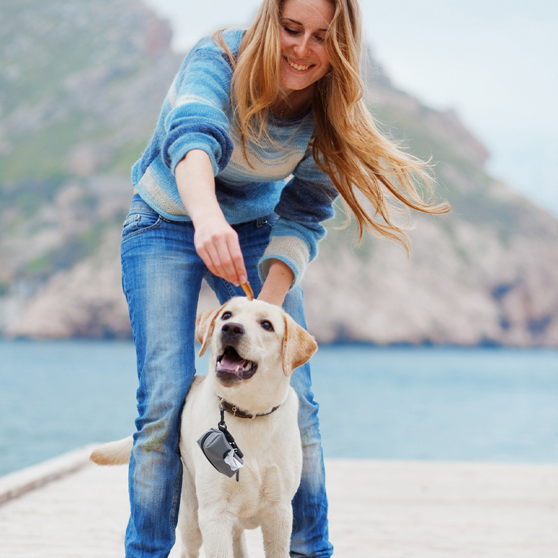 犬キャリアバッグボックスペットガーデニングポータブル折りたたみ犬キャリングケース耐久性のある防水オックスフォード生地トラベルトート|undefined