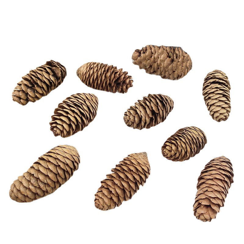 1-18cm pine cone Christmas decorations pendant Christmas tree pendant shooting props dry pine pine pine wholesale
