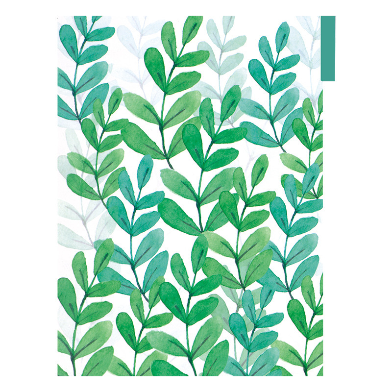 Color 6-hole loose-leaf accessories PP Index Page Separator paper standard A5A6 hand account separator paper PP transparent material