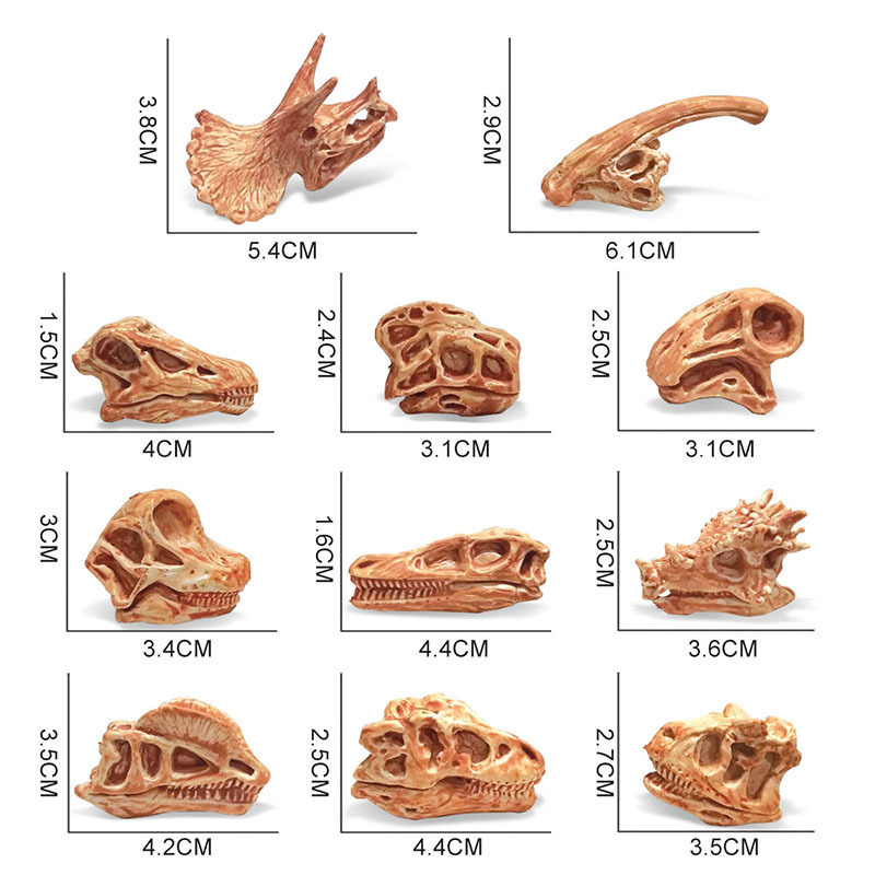 リアルな固体恐竜の頭蓋骨モデルティラノサウルスレックスヴェロキラプトル考古学的スケルトン子供のおもちゃ|undefined