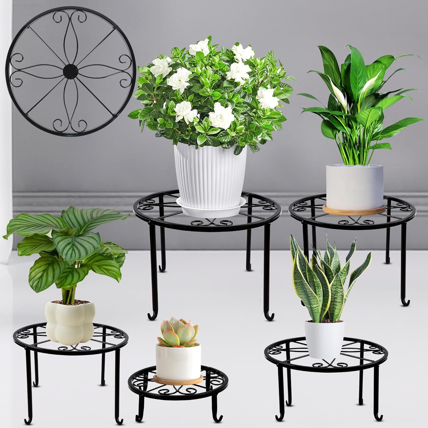 Indoor Bonsai Flower Rack Iron Art Fine Fine Work Metal Simple Floor Flower Rack