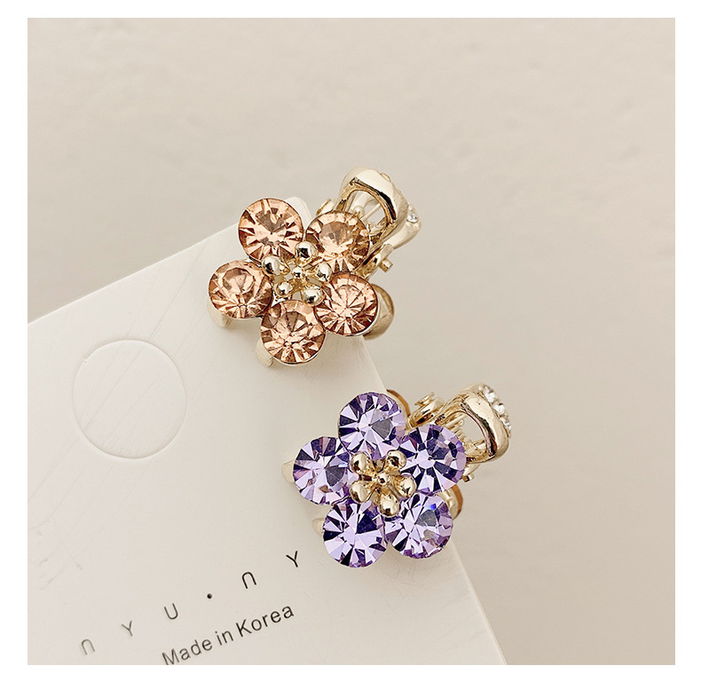 Small Bangs Grab Clip 2022 New Crystal Flower Side Hairpin Korean Internet Celebrity Mini Elegant Grab Hair Accessories_voghion.com