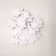 White five-pointed star