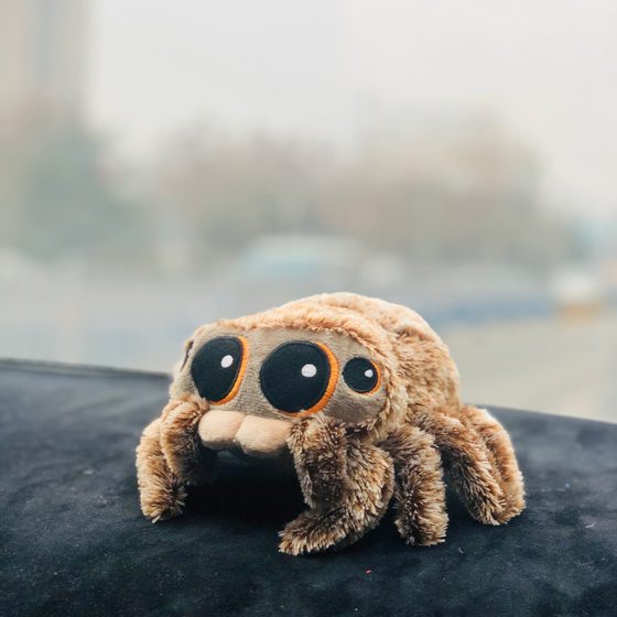 Spot Lucas Spider Lucas Spider Doll Children's Plush Toy Cute Crawler Doll