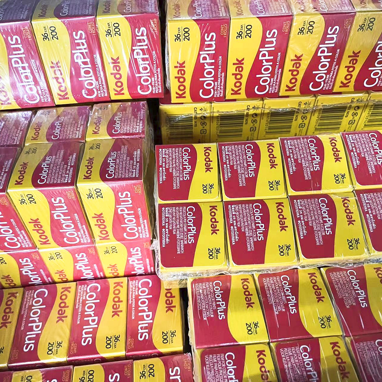 American original Kodak Easy shot COLORPLUS CP 200 135 color film negative wholesale
