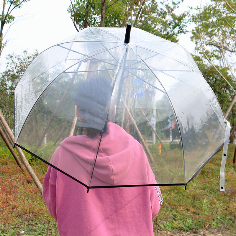 创意简约透明伞阿波罗白色8骨长柄伞女弯柄直杆透明雨伞双人大伞