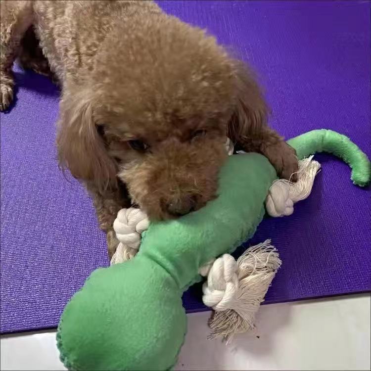 Pet toy lizard dog cat tear-resistant bite sound BB call molars cotton rope to relieve boredom plush toy