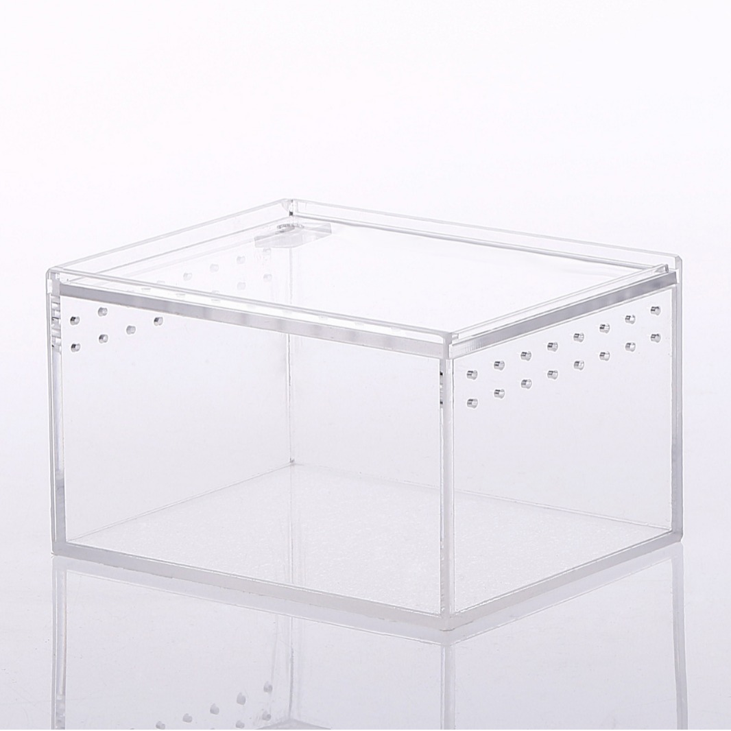 One-piece anti-leakage climbing pet box acrylic snake guard Palace horned frog breeding box reptile breeding box factory direct postage