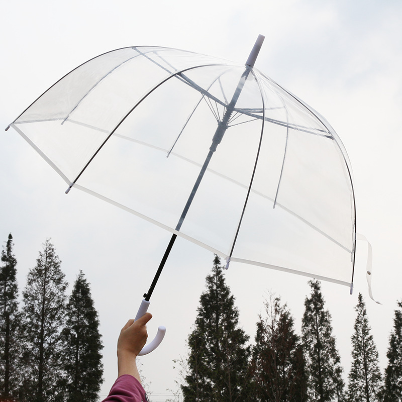 创意简约透明伞阿波罗白色8骨长柄伞女弯柄直杆透明雨伞双人大伞
