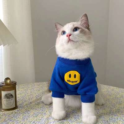 New winter pet cat clothes fashion brand autumn and winter small milk cat hair-proof smiley face sweater cat autumn clothes