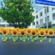 Shaking head sunflower flowers [5 pieces]]