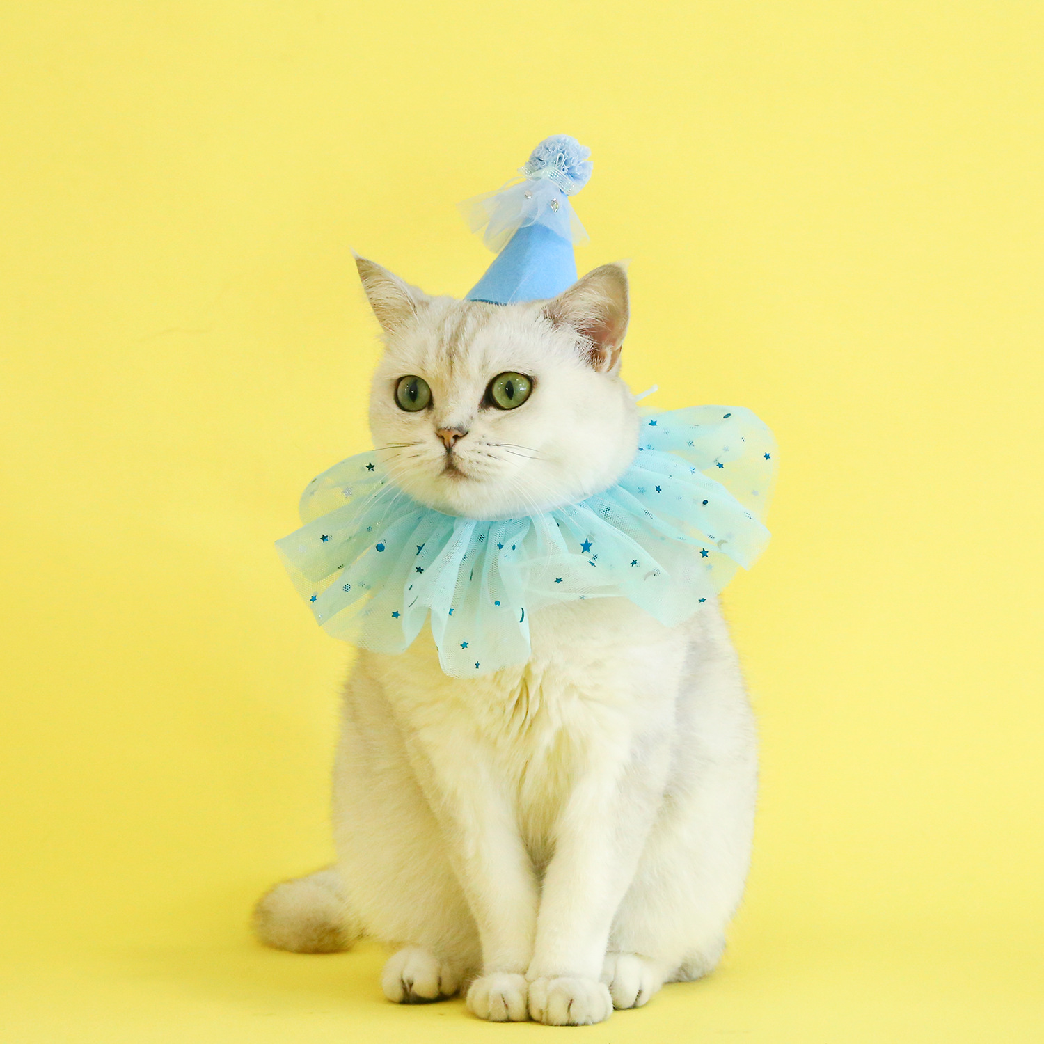 Pet sequined lace bib rhinestone gauze skirt felt hat birthday princess suit photography cat puppy accessories