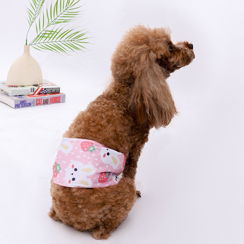 Cross-border new male dog physiological pants washable diapers dog anti-harassment courtesy belt small dog pet supplies factory
