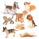 Children's Simulation Animal Dog Model Wolf Dog Dobbin Teddy Bigger Shepherd Dog Bulldog Pet Dog Toy Ornaments