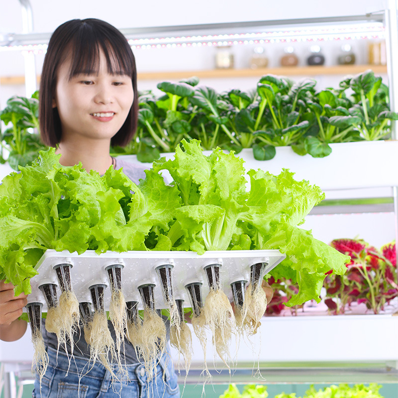 スマート多層植栽機土壌栽培装置アマゾン園芸ホームバルコニー野菜植栽機|undefined