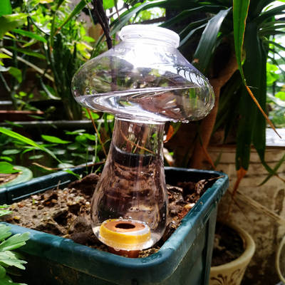 Automatic Watering Device Household Lazy Watering Flower Artifact Travel Travel Travel Water Seepage Drip Drip Irrigation Accessories Fleshy Watering Flower