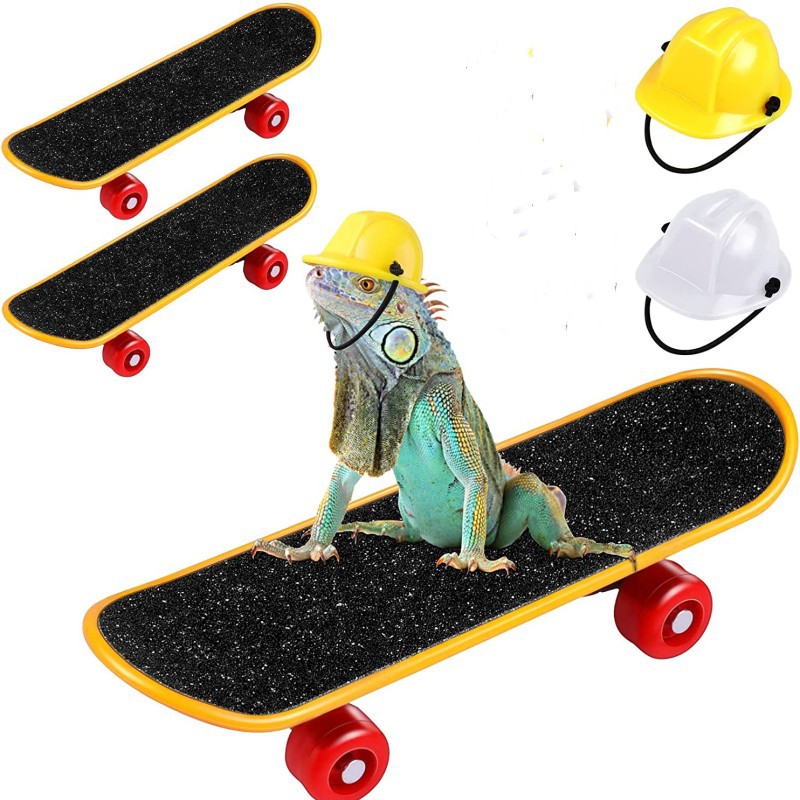 Amazon hot selling pet helmet skateboard 3-piece set pet engineering hat safety helmet hamster lizard parrot toy
