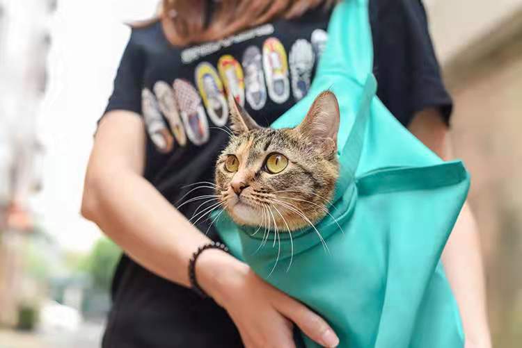 Pet Shoulder Bag Outgoing Portable Cat Bag Breathable Cat Handbag Cat Supplies Nylon Cloth Handbag