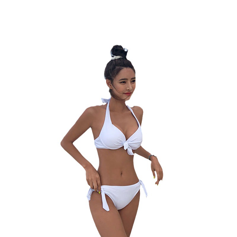 bikini Swimsuit New Style bikini Steel Push-up Sexy Chest Low Waist Three-point Spa Split Women's Swimsuit