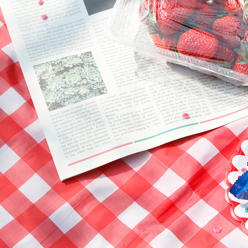 Disposable peva plastic tablecloth thickened waterproof oil-proof red and white plaid outdoor picnic ins Wind tablecloth wholesale