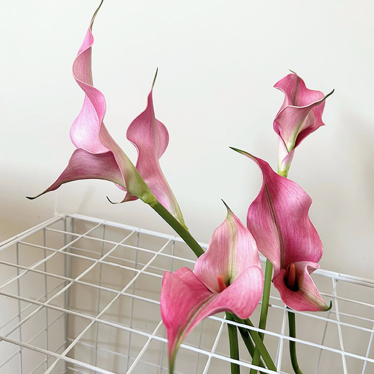 Light luxury artificial flower single Taro EVA niche retro double core Calla Lily photography props decorative floral art