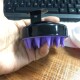 black purple