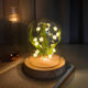 Suzuki Orchid Night Light Decoration Handmade diy Material Bag Decoration Glass Garden Bedroom Ornaments Birthday Gift